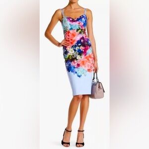 Ted Baker London Sleeveless Strappy Emore Bouquet  Pencil Silhouette Floral Mid…